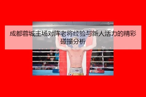 成都蓉城主场对阵老将经验与新人活力的精彩碰撞分析